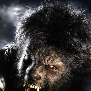 The Wolfman Picture 3