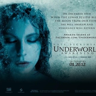 Underworld: Awakening Picture 12
