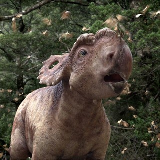 Patchi from The 20th Century Fox's Walking with Dinosaurs (2013)