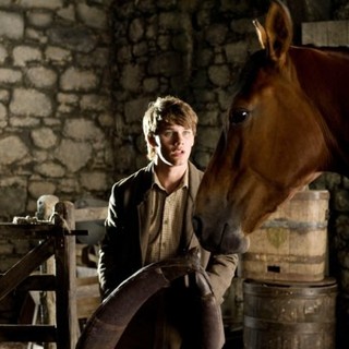 War Horse Picture 20