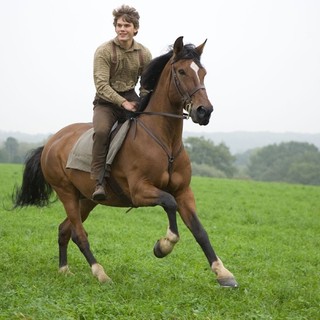 War Horse Picture 11