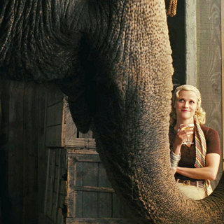 Robert Pattinson stars as Jacob Jankowski and Reese Witherspoon stars as Marlena Rosenbluth in 20th Century Fox's Water for Elephants (2011)