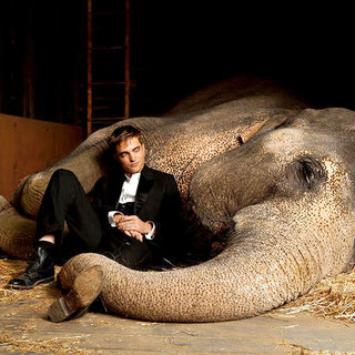 Water for Elephants Picture 6
