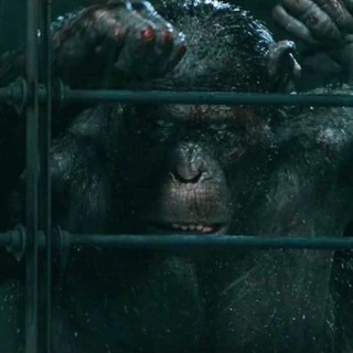 War for the Planet of the Apes Picture 20