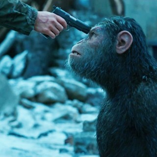 War for the Planet of the Apes Picture 21