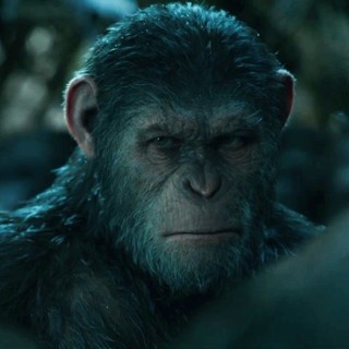 War for the Planet of the Apes Picture 22