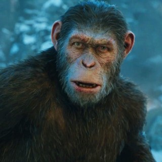War for the Planet of the Apes Picture 28