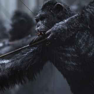 War for the Planet of the Apes Picture 11