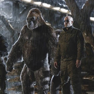 Red Donkey and Woody Harrelson (The Colonel) in 20th Century Fox's War for the Planet of the Apes (2017)