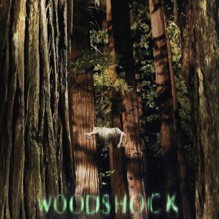 Poster of A24's Woodshock (2017)