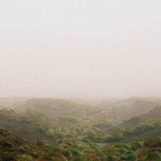 Wuthering Heights Picture 3