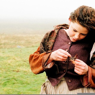Wuthering Heights Picture 16