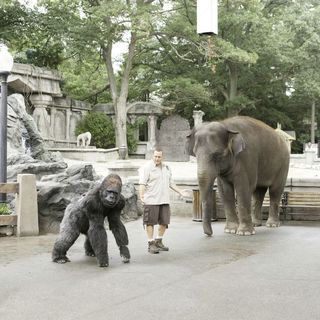 Zookeeper Picture 20
