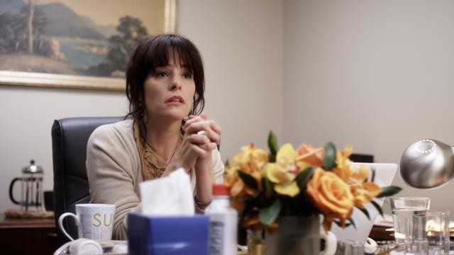 Parker Posey stars as Susan Felders in IFC Films' Price Check (2012)
