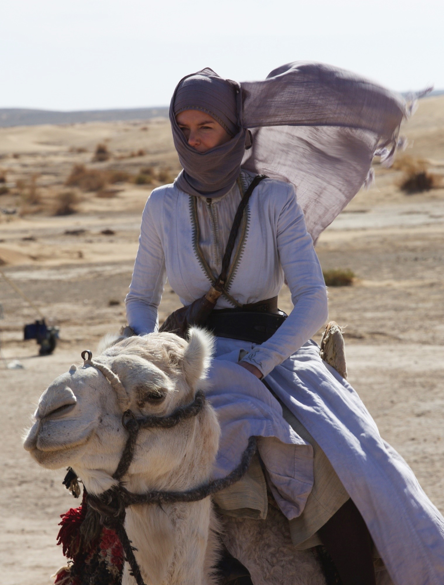 Nicole Kidman stars as Gertrude Bell in IFC Films' Queen of the Desert (2017)