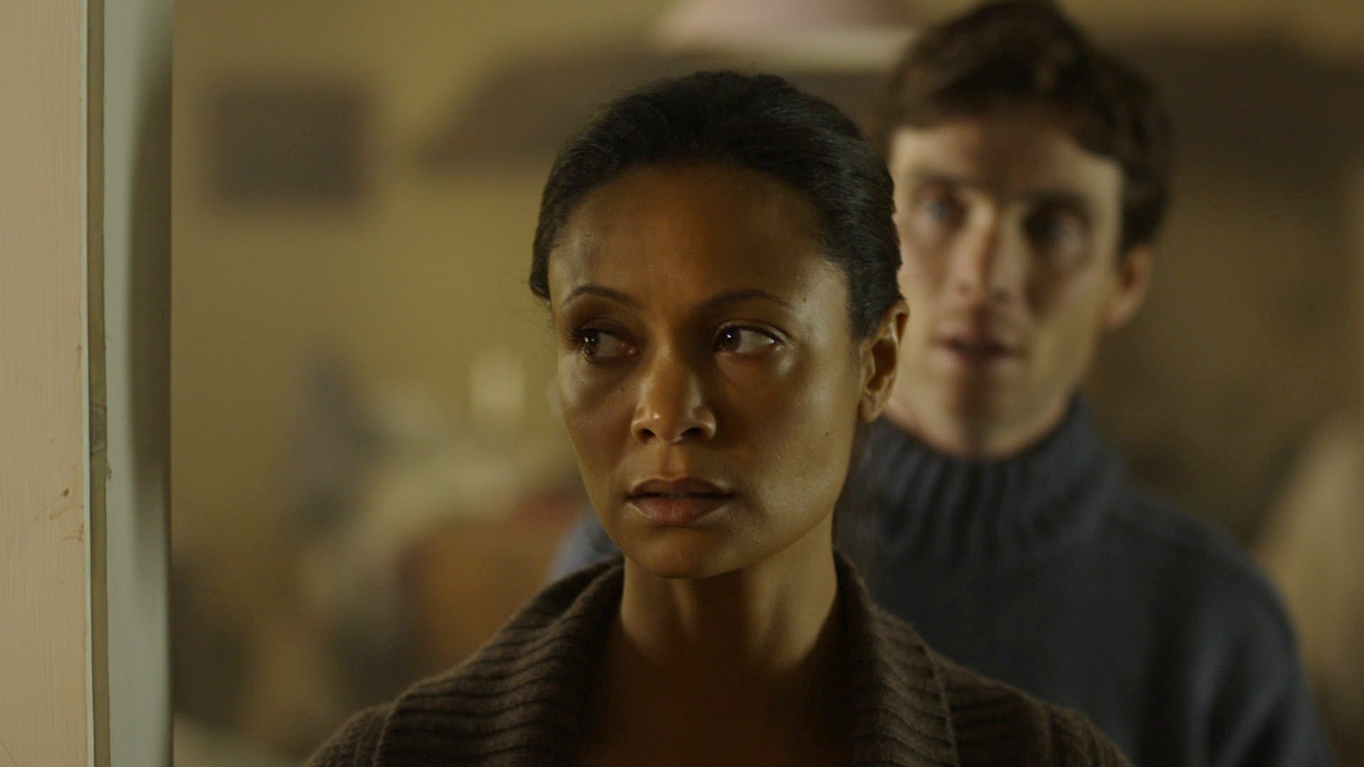 Thandie Newton stars as Kate and Cillian Murphy stars as Martin in Samuel Goldwyn Films' Retreat (2011)