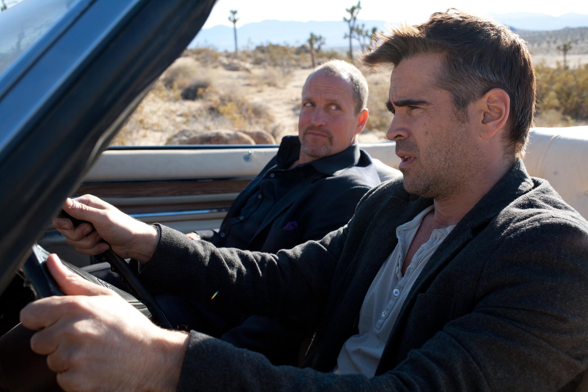 Woody Harrelson stars as Charlie and Colin Farrell stars as Marty in CBS Films' Seven Psychopaths (2012)