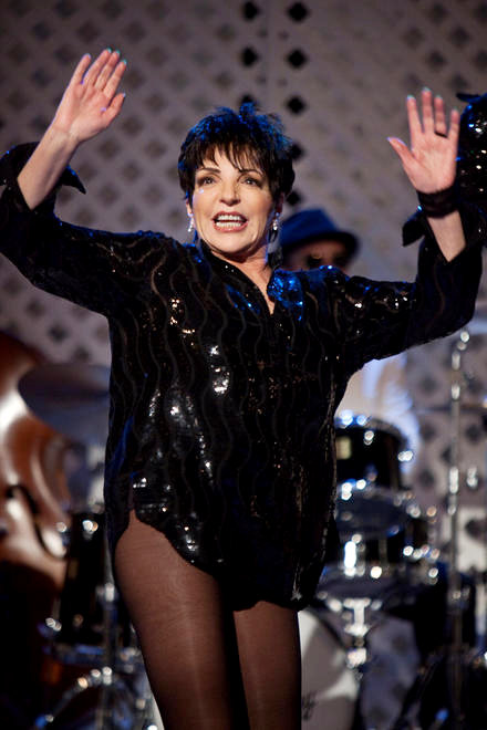 Liza Minnelli stars as Liza Minnelli in Warner Bros. Pictures' Sex and the City 2 (2010)