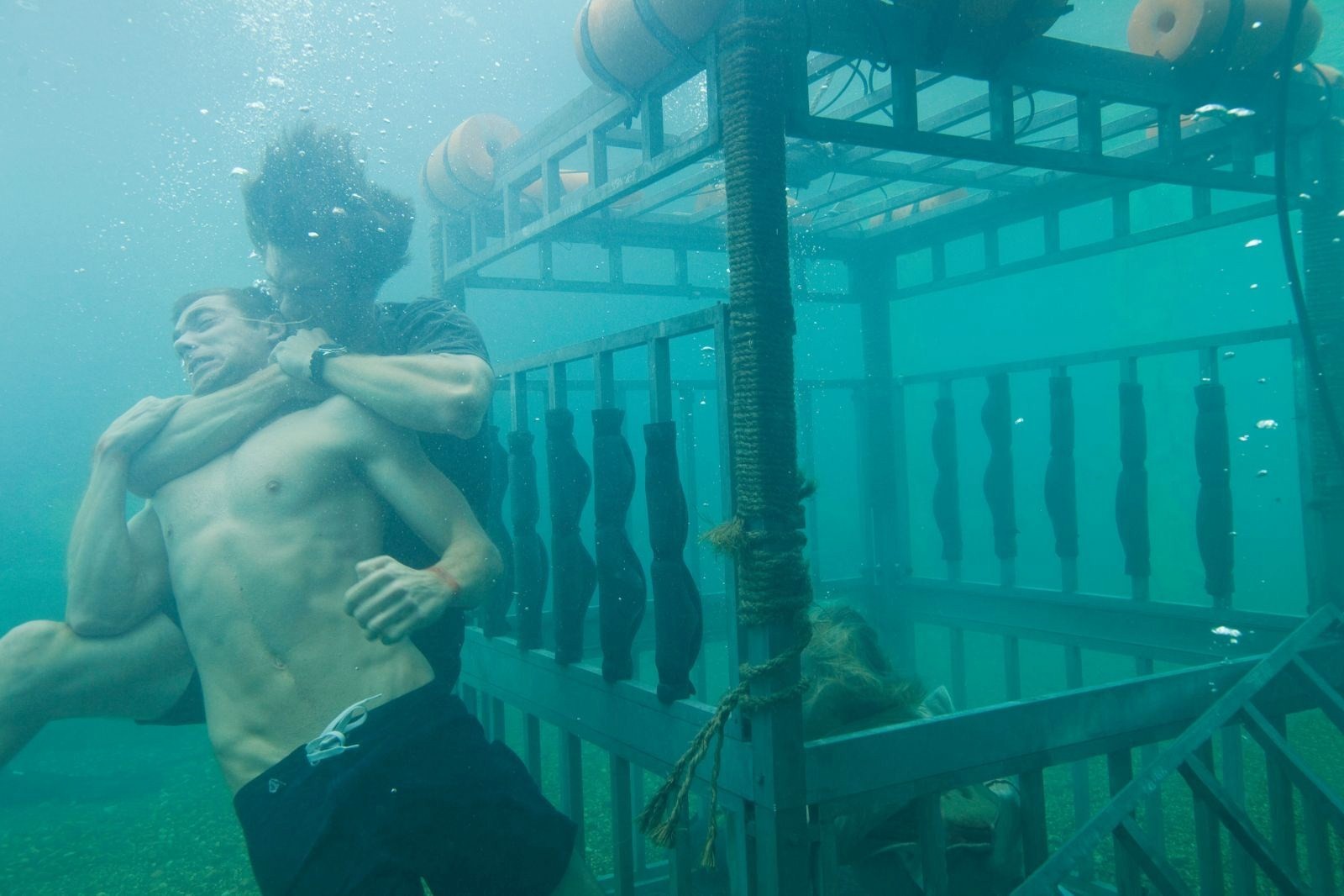 Shark Night 3D Picture 37