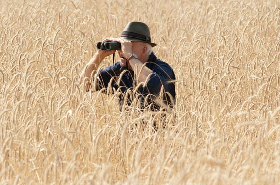 Steve Martin stars as Stu Preissler in 20th Century Fox's The Big Year (2011)