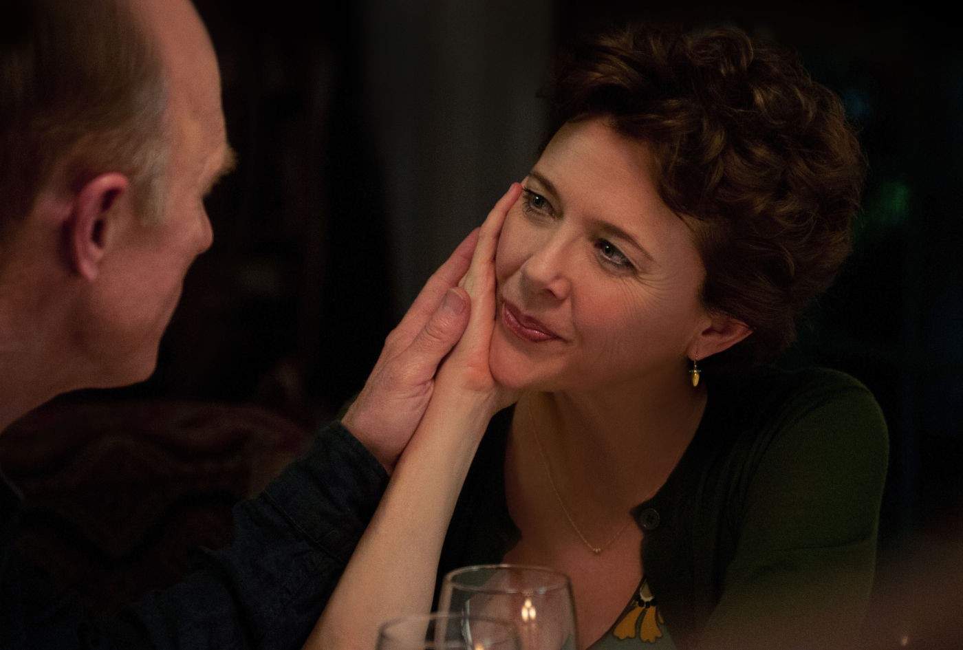 Annette Bening stars as Nikki in IFC Films' The Face of Love (2014)