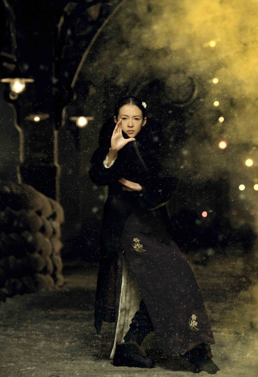 Zhang Ziyi in The Weinstein Company's The Grandmasters (2013)