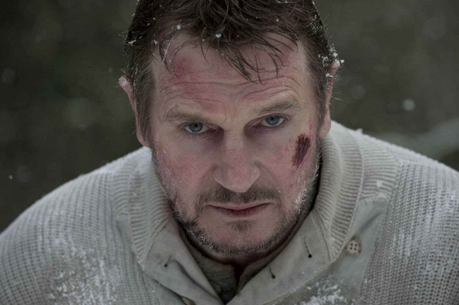 Liam Neeson stars as Ottway in Open Road Films' The Grey (2012). Photo credit by Kimberley French.