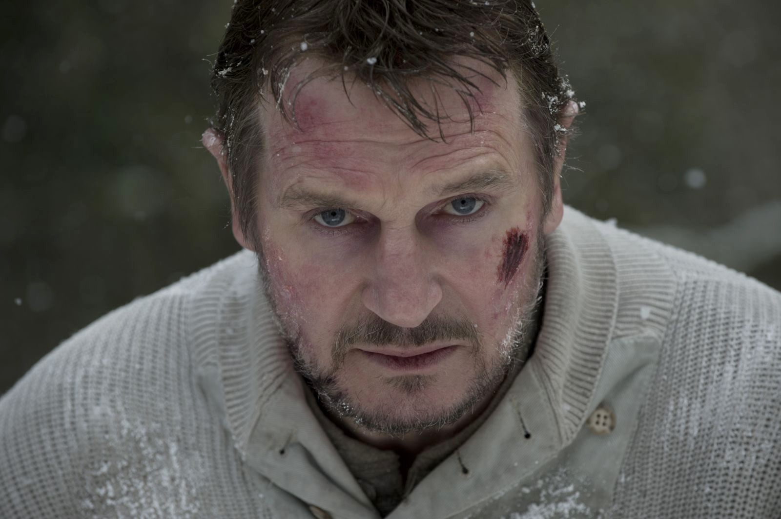 Liam Neeson