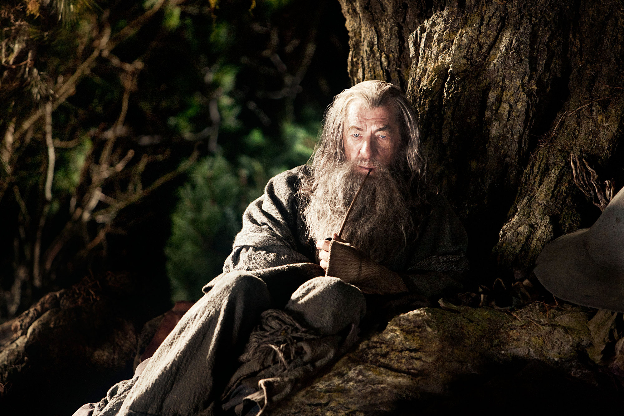 Ian McKellen stars as Gandalf in Warner Bros. Pictures' The Hobbit: An Unexpected Journey (2012)