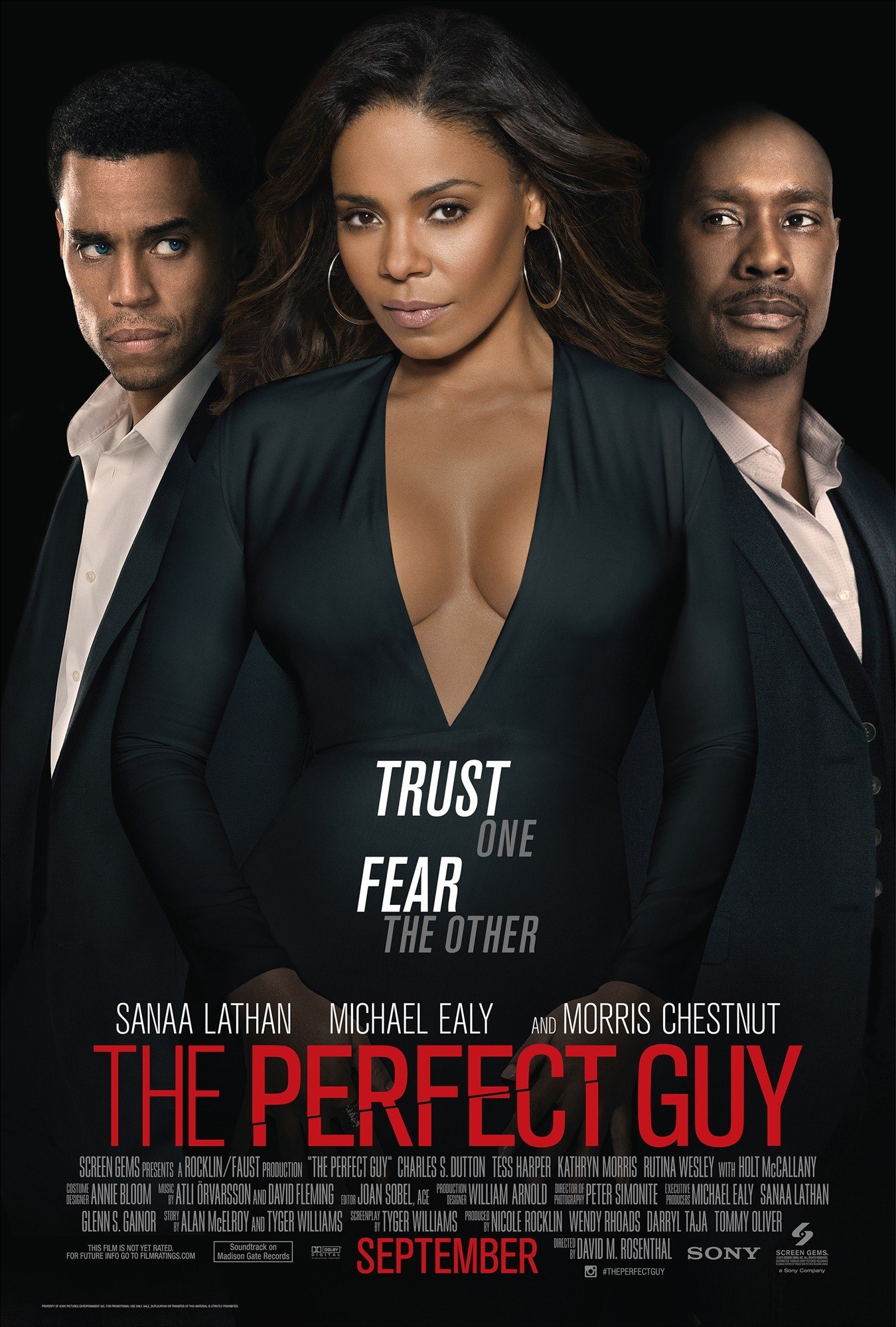 Poster of Screen Gems' The Perfect Guy (2015)