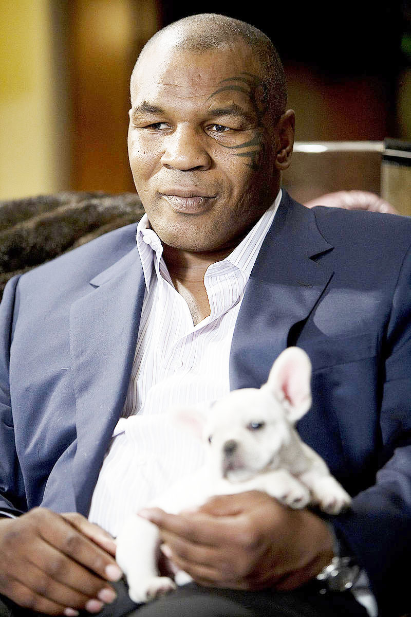 Mike Tyson in Warner Bros. Pictures' The Hangover (2009)