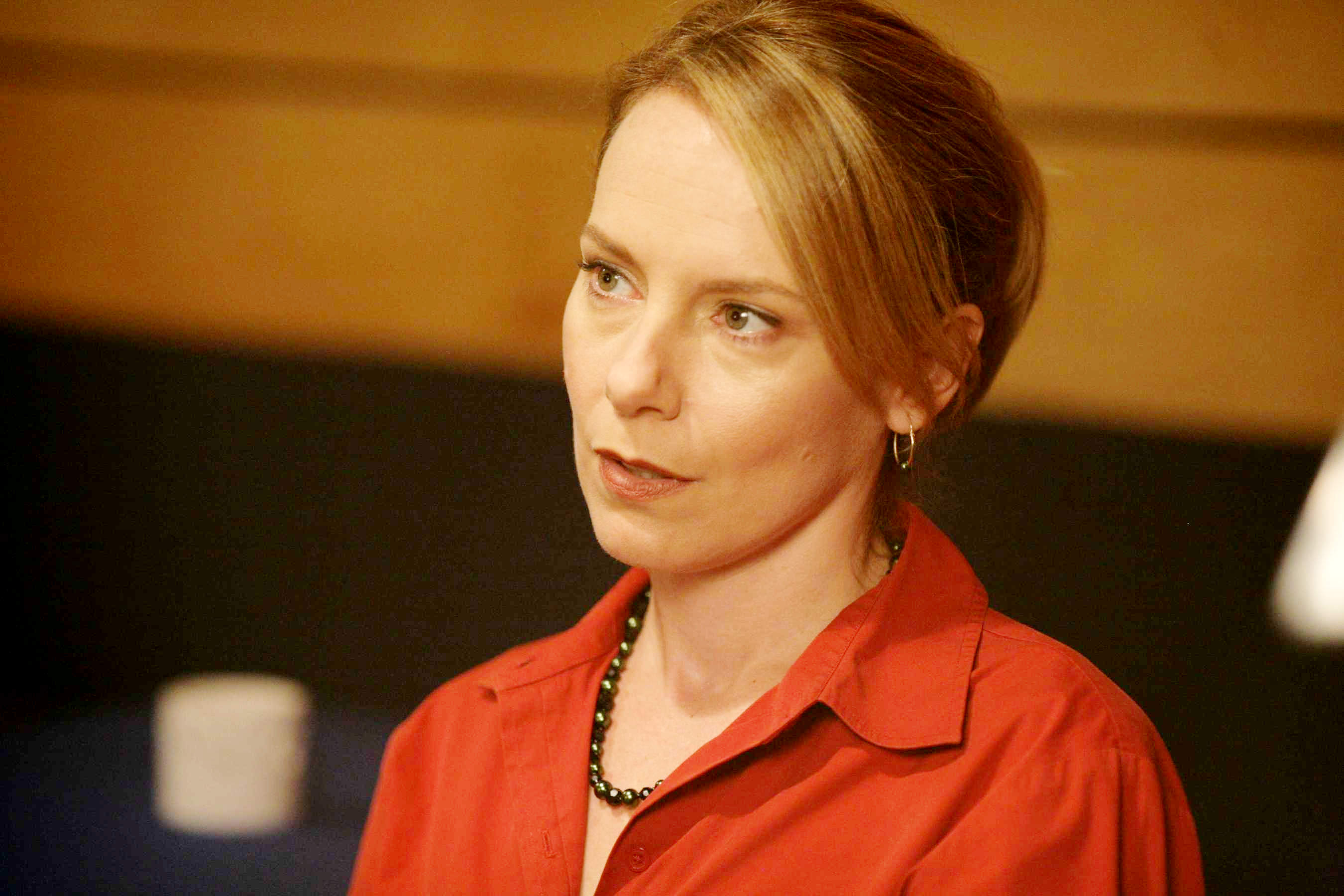 Amy Ryan stars as Miss Charley in Strand Releasing's The Missing Person (2009)