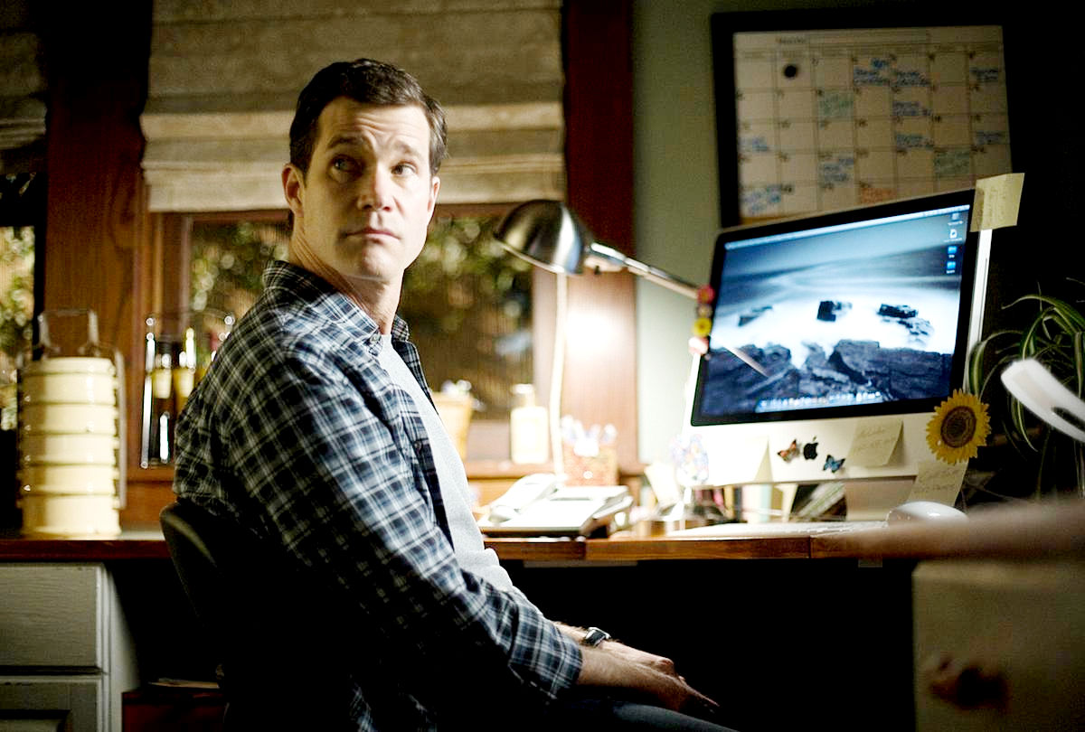 Dylan Walsh stars as David Harris in Screen Gems' The Stepfather (2009)