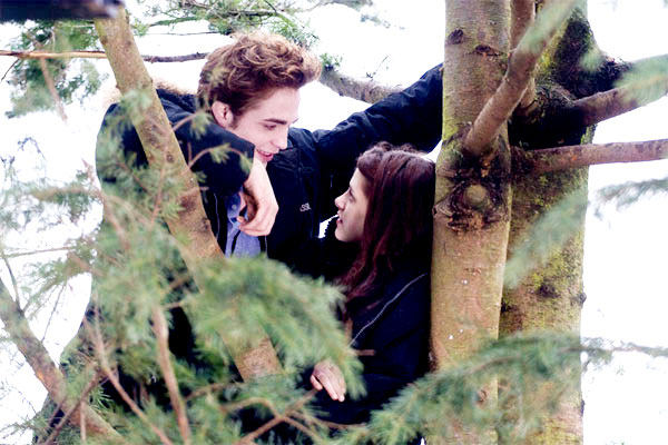 Robert Pattinson stars as Edward Cullen and Kristen Stewart stars as Bella Swan in Summit Entertainment's Twilight (2008)