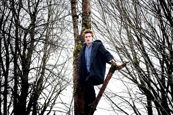 Robert Pattinson stars as Edward Cullen in Summit Entertainment's Twilight (2008)