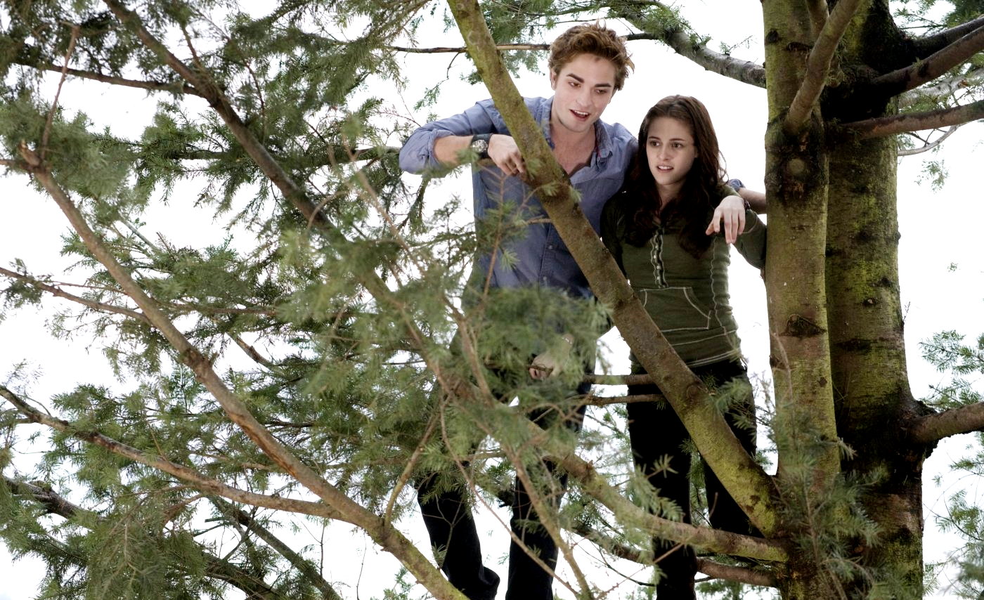 Robert Pattinson stars as Edward Cullen and Kristen Stewart stars as Bella Swan in Summit Entertainment's Twilight (2008)