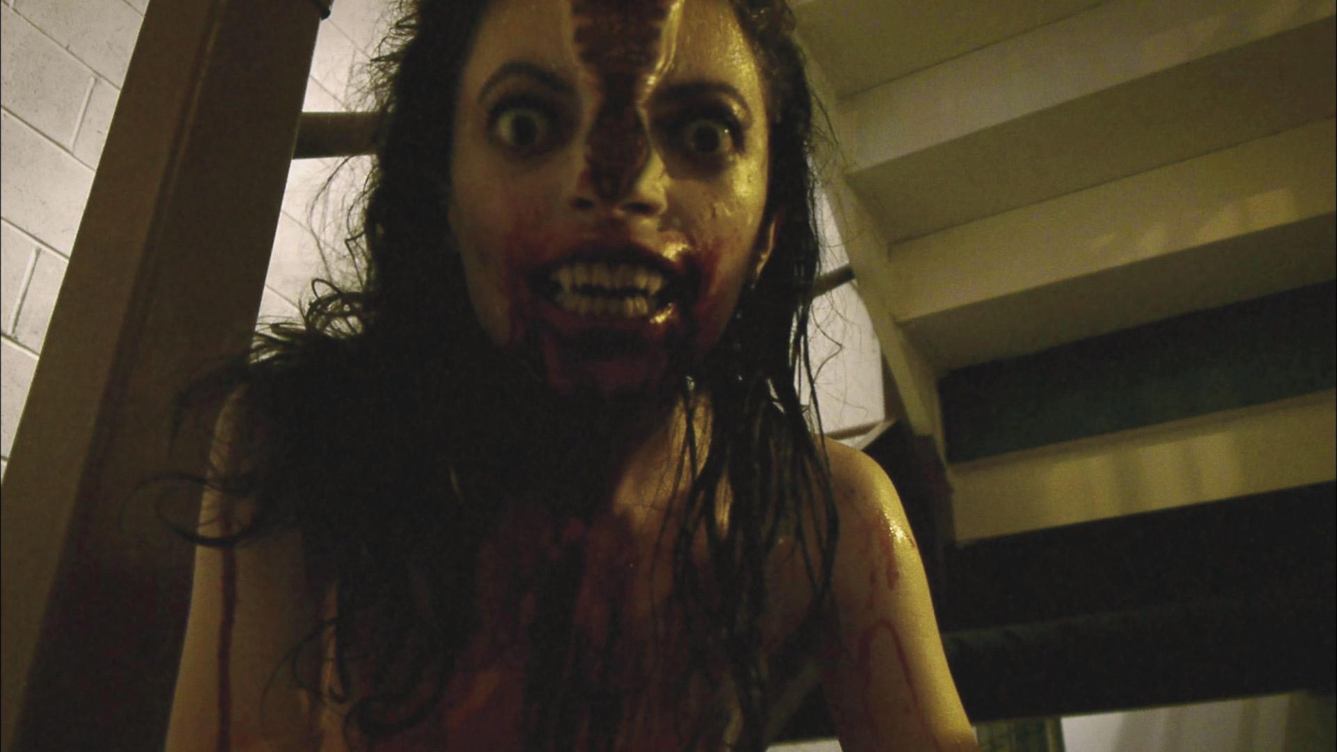 Hannah Fierman stars as Lily in Magnolia Pictures' V/H/S (2012)