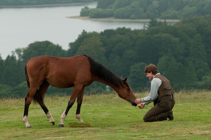 Jeremy Irvine stars as Albert in DreamWorks Pictures' War Horse (2011)