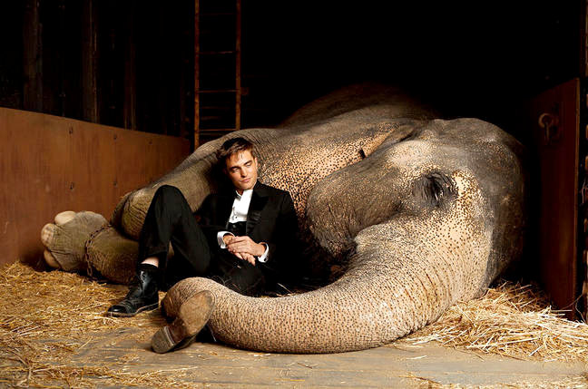 Robert Pattinson stars as Jacob Jankowski in 20th Century Fox's Water for Elephants (2011)