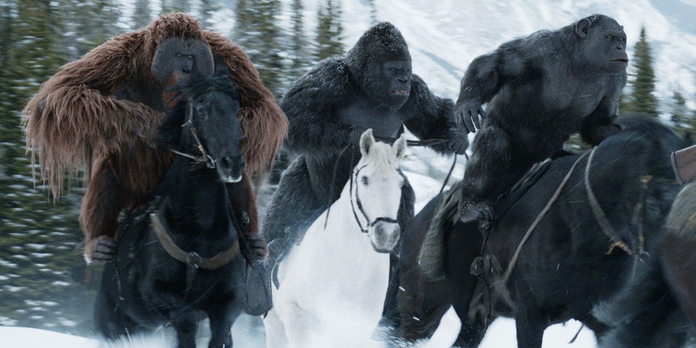 Maurice, Luca, and Rocket from 20th Century Fox's War for the Planet of the Apes (2017)