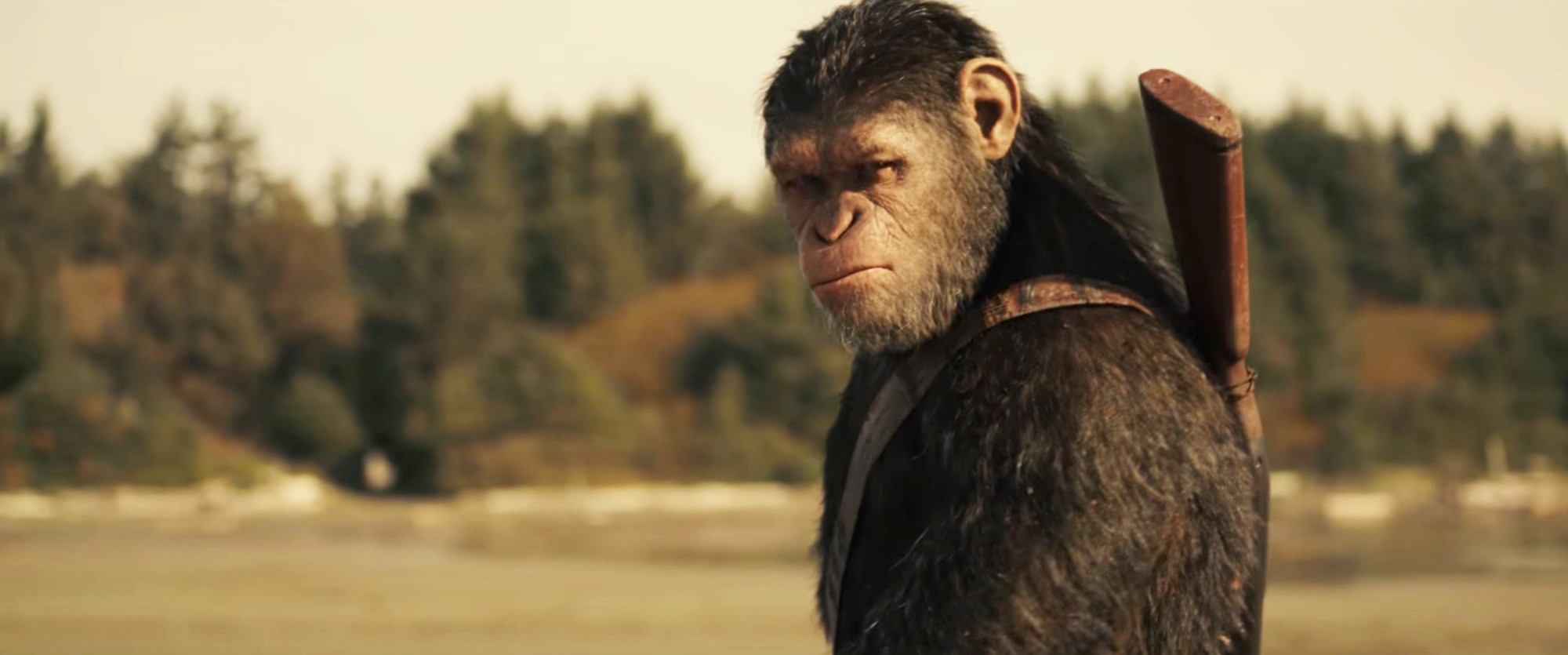 Caesar from 20th Century Fox's War for the Planet of the Apes (2017)