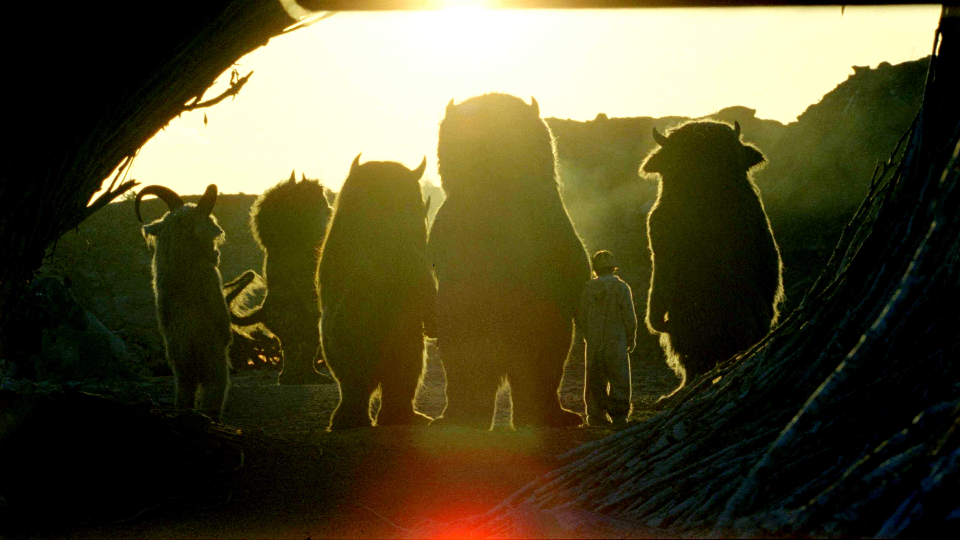 Max Records stars as Max in Warner Bros. Pictures' Where the Wild Things Are (2009)