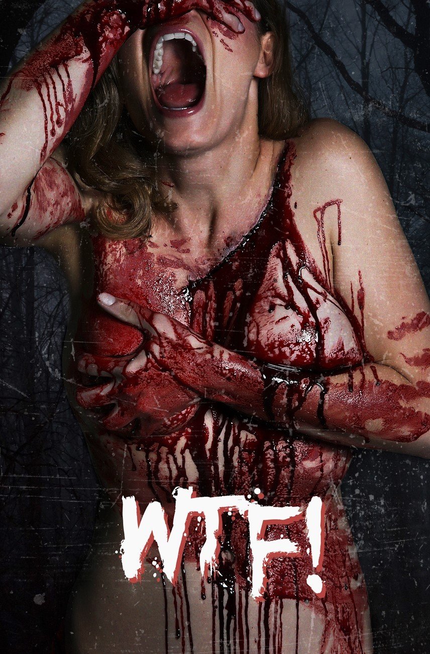 Poster of Midnight Releasing's WTF! (2017)