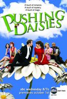 Pushing Daisies Photo