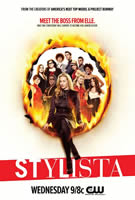 Stylista Poster