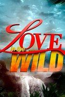 Love in the Wild Poster