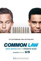Common Law Poster