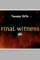 Final Witness Poster