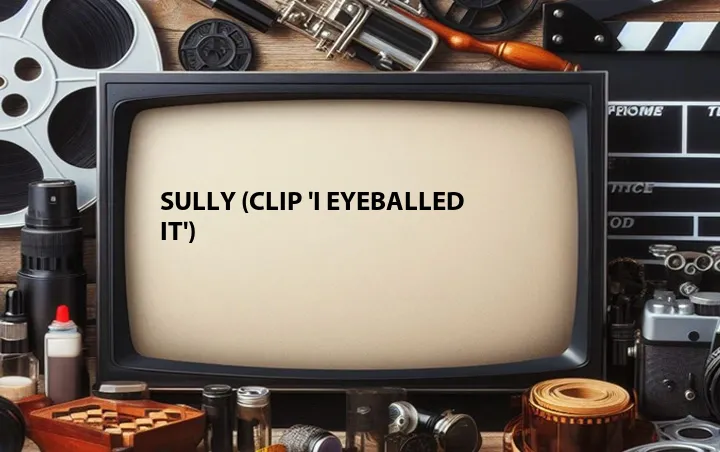 Sully (Clip 'I Eyeballed It')