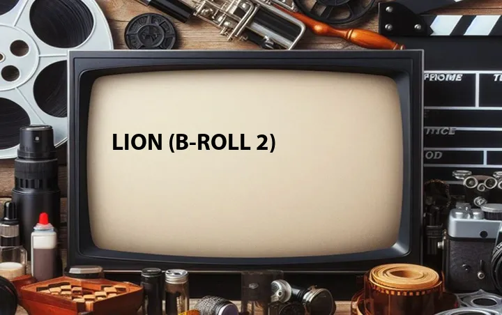 Lion (B-Roll 2)